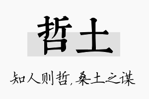 哲土名字的寓意及含义