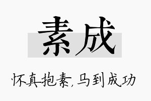 素成名字的寓意及含义