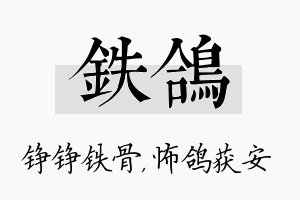 铁鸽名字的寓意及含义