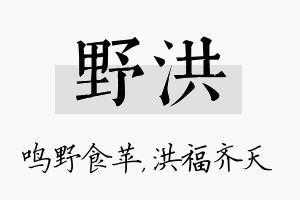 野洪名字的寓意及含义