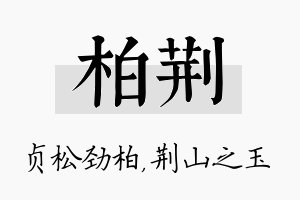 柏荆名字的寓意及含义