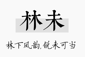 林未名字的寓意及含义