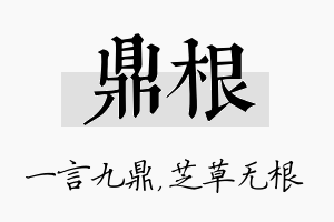 鼎根名字的寓意及含义