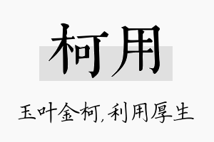 柯用名字的寓意及含义