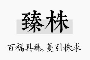 臻株名字的寓意及含义