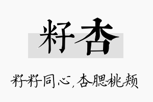 籽杏名字的寓意及含义