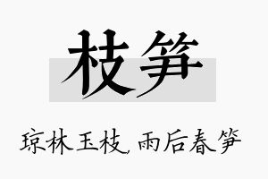 枝笋名字的寓意及含义