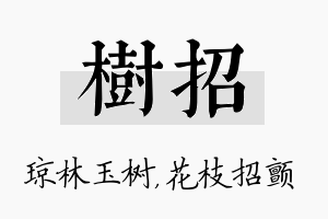 树招名字的寓意及含义