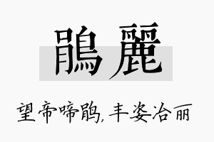 鹃丽名字的寓意及含义