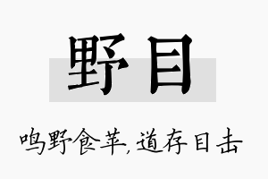 野目名字的寓意及含义