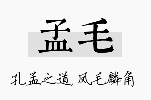 孟毛名字的寓意及含义