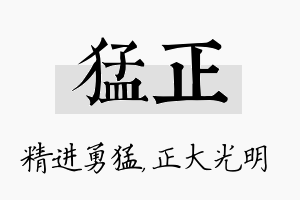 猛正名字的寓意及含义