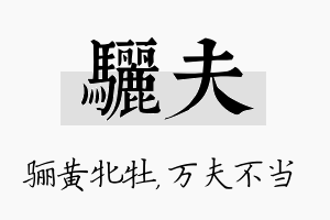 骊夫名字的寓意及含义