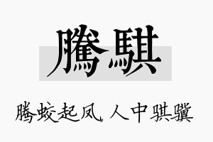 腾骐名字的寓意及含义