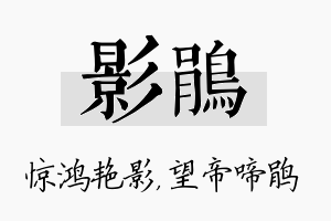 影鹃名字的寓意及含义