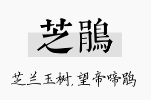 芝鹃名字的寓意及含义