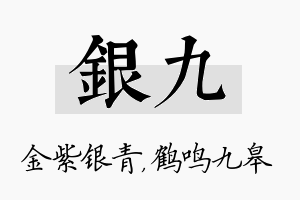 银九名字的寓意及含义