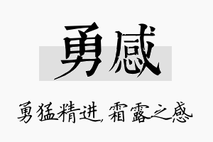 勇感名字的寓意及含义