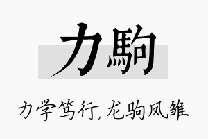 力驹名字的寓意及含义