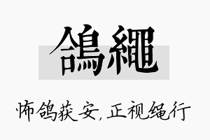 鸽绳名字的寓意及含义