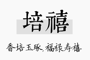 培禧名字的寓意及含义