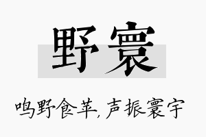 野寰名字的寓意及含义