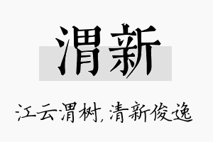 渭新名字的寓意及含义