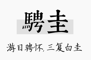 骋圭名字的寓意及含义