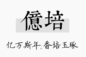 亿培名字的寓意及含义