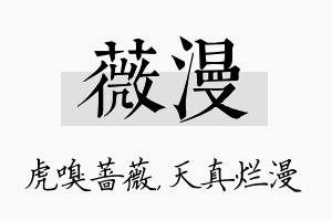 薇漫名字的寓意及含义