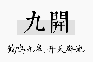 九开名字的寓意及含义