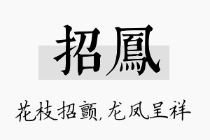 招凤名字的寓意及含义