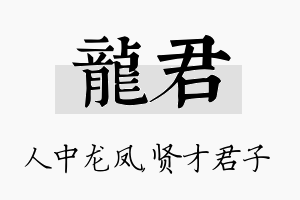 龙君名字的寓意及含义