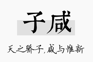 子咸名字的寓意及含义