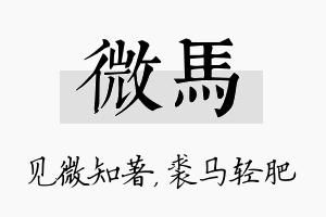 微马名字的寓意及含义