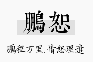 鹏恕名字的寓意及含义