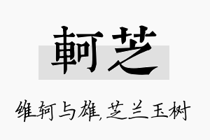 轲芝名字的寓意及含义