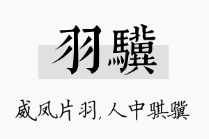 羽骥名字的寓意及含义