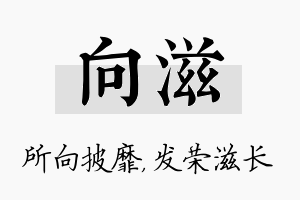 向滋名字的寓意及含义