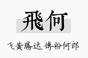 飞何名字的寓意及含义