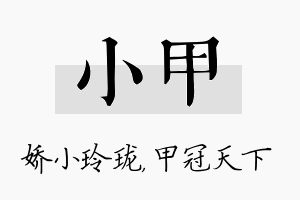 小甲名字的寓意及含义