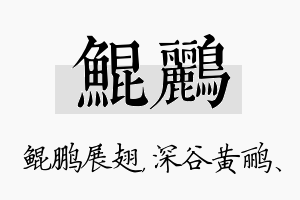 鲲鹂名字的寓意及含义