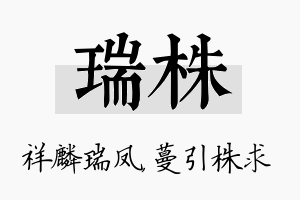 瑞株名字的寓意及含义