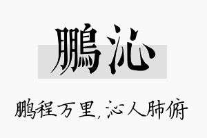 鹏沁名字的寓意及含义