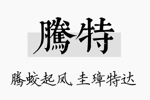 腾特名字的寓意及含义