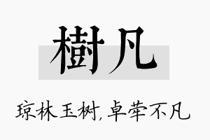 树凡名字的寓意及含义