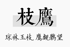 枝鹰名字的寓意及含义