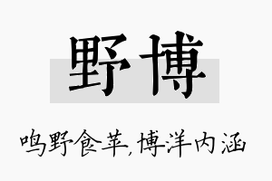 野博名字的寓意及含义