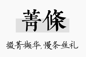 菁条名字的寓意及含义