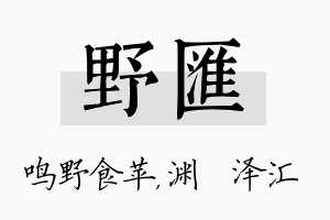 野汇名字的寓意及含义